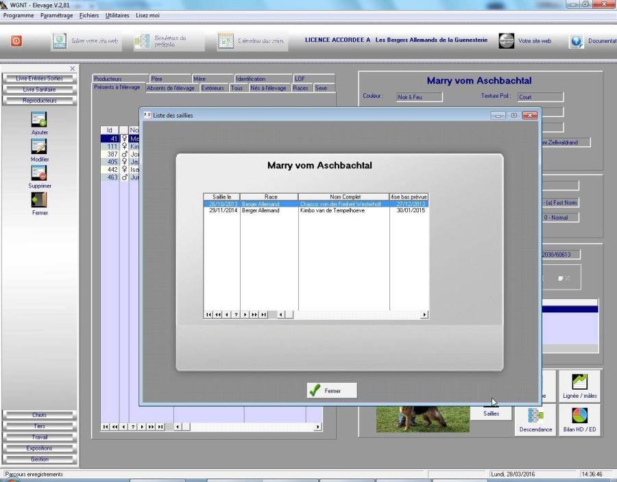 screenshot047.jpg