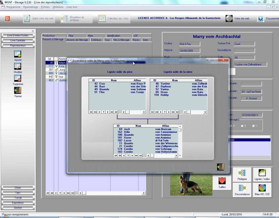 screenshot048.jpg