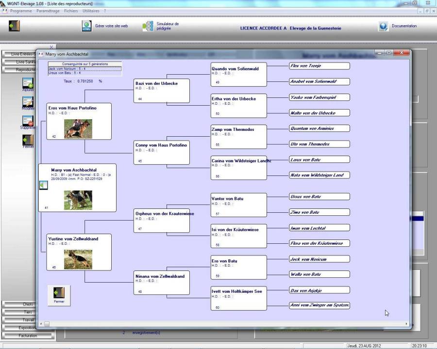 screenshot032.jpg
